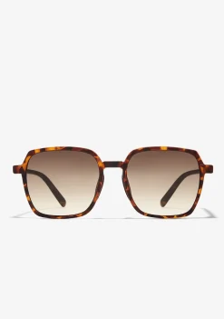 D.Franklin Banger Matte Tort / Gradient Brown|Damen Eckige Sonnenbrillen