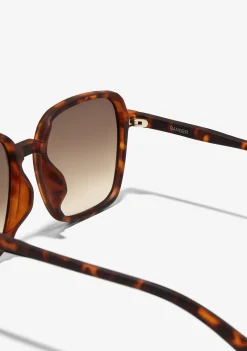 D.Franklin Banger Matte Tort / Gradient Brown|Damen Eckige Sonnenbrillen