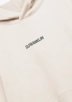 D.Franklin Classic Oversize Hoodie Ice Grey|Damen Sweatshirts|Sweatshirts