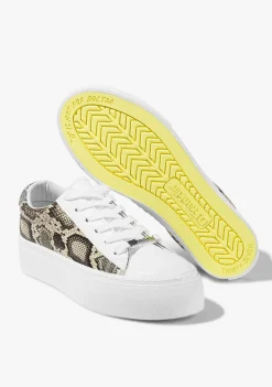 D.Franklin Club Snake|Damen Sneakers