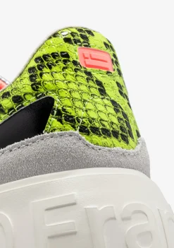 D.Franklin Court Basket Black / Snake|Damen Plattform-Sneakers|Sneakers