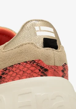 D.Franklin Court Stich Beige / Multi|Damen Plattform-Sneakers|Sneakers