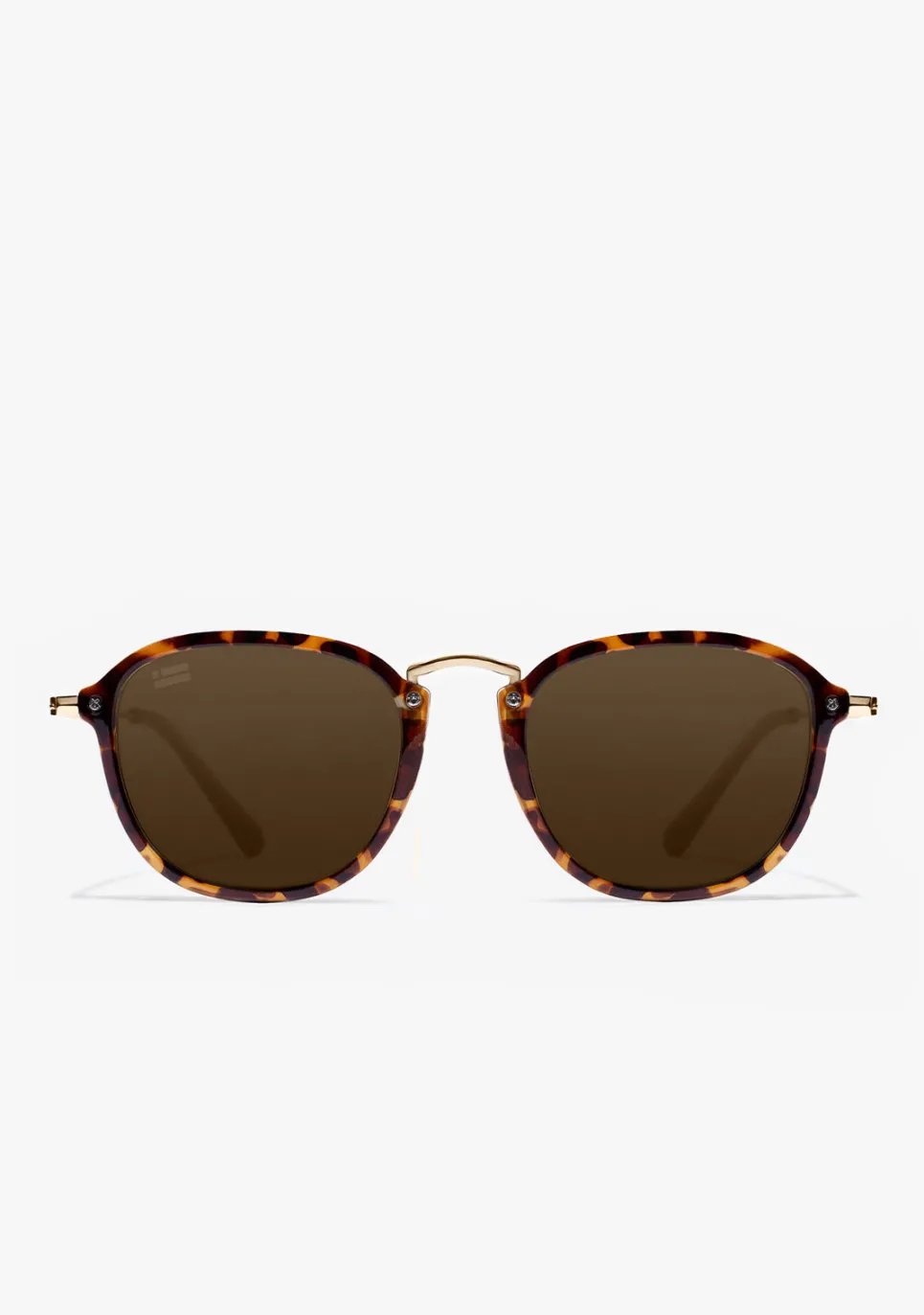 D.Franklin Roller SQ Carey / Brown|Damen Eckige Sonnenbrillen|Eckige Sonnenbrillen